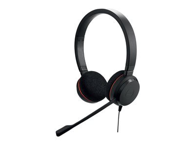 Jabra Evolve 20 MS stéréo - Micro-casque - sur-oreille - filaire - USB-C, USB-A - isolation acoustique - Certifié pour Microsoft Teams