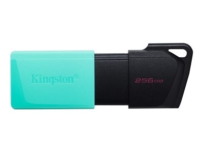 Kingston DataTraveler Exodia M - Clé USB - 256 Go - USB 3.2 Gen 1