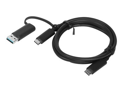 Lenovo - Câble USB - USB-C (M) pour USB-C (M) - 20 V - 5 A - 1 m - noir