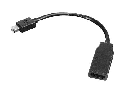 Lenovo - Câble d'écran - Mini DisplayPort (M) pour HDMI (F) - 20 cm - pour ThinkCentre M75t Gen 2; ThinkPad P51; ThinkStation P330 Gen 2; P34X; P350; P520; P620