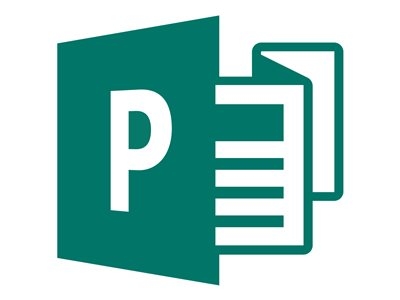 Microsoft Publisher 2019 - Droit de rachat - 1 PC - gouv. - Open Value Subscription - niveau D - produit supplémentaire - Win - Toutes les langues