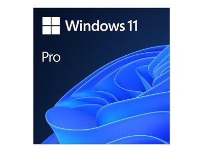 Windows 11 Professionnel  - Licence - 1 licence - ESD - Revente nationale, 64-bit - Toutes les langues