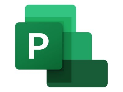 Microsoft Project Server 2019 - Droit de rachat - 1 serveur - académique - Open Value Subscription - niveau E - produit supplémentaire - Win - Toutes les langues