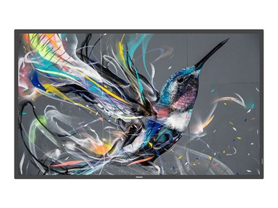 Philips 50BDL3650QE - Classe de diagonale 50" (49.5" visualisable) - Q-Line écran LCD rétro-éclairé par LED - signalisation numérique - Android - 4K UHD (2160p) 3840 x 2160 - Direct LED