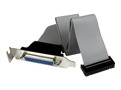 StarTech.com Cable adaptateur de carte mere a faible encombrement avec port parallele, 40 cm, avec support - DB25 (F) vers IDC26 - Panneau parallèle - DB-25 (F) pour IDC 26 broches (F) - 40.64 cm - gris