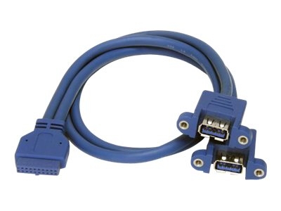 StarTech.com Câble USB 3.0 2 ports monté sur panneau  Câble USB A vers adaptateur carte mère F/F - Câble interne USB vers externe - USB type A (F) pour IDC 20 broches (F) - 50 cm - bleu