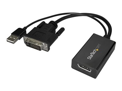 StarTech Adaptateur DVI vers DisplayPort avec alimentation USB - Convertisseur vidéo DVI vers DP - 1920 x 1200 - Adaptateur vidéo - liaison double - DVI-D (M) pour DisplayPort (F) - alimentation USB