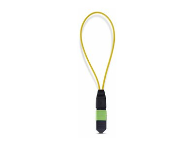 Single Mode MPO-12 Male Loopback Plug
