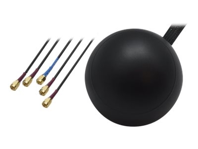 Teltonika - Antenne - cellulaire - 3 dBi - montrable sur toit