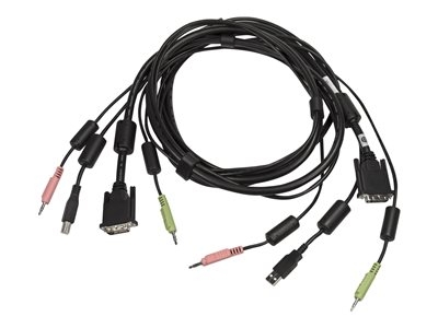 Avocent - Câble clavier/vidéo/souris/audio - USB type B, DVI-D, jack mini (M) pour USB, DVI-D, jack mini (M) - 3.05 m - pour Avocent SV220, SV240