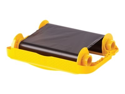 Zebra ZD420 - 110 mm x 74 m - ruban d'impression - pour Zebra ZD420