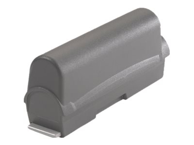 Zebra - Batterie pour ordinateur de poche (étendu) - 4600 mAh - pour WT 4070, 4090; Zebra WT4090, WT41N0