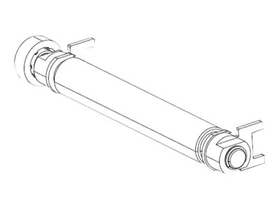 Zebra - Rouleau d'imprimante - pour Zebra ZT220, ZT230